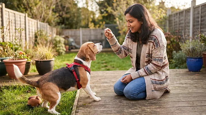 なぜ犬はうんちを食べるのか、そしてそれを止める方法